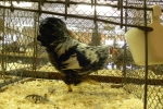 DSCN9303.JPG
